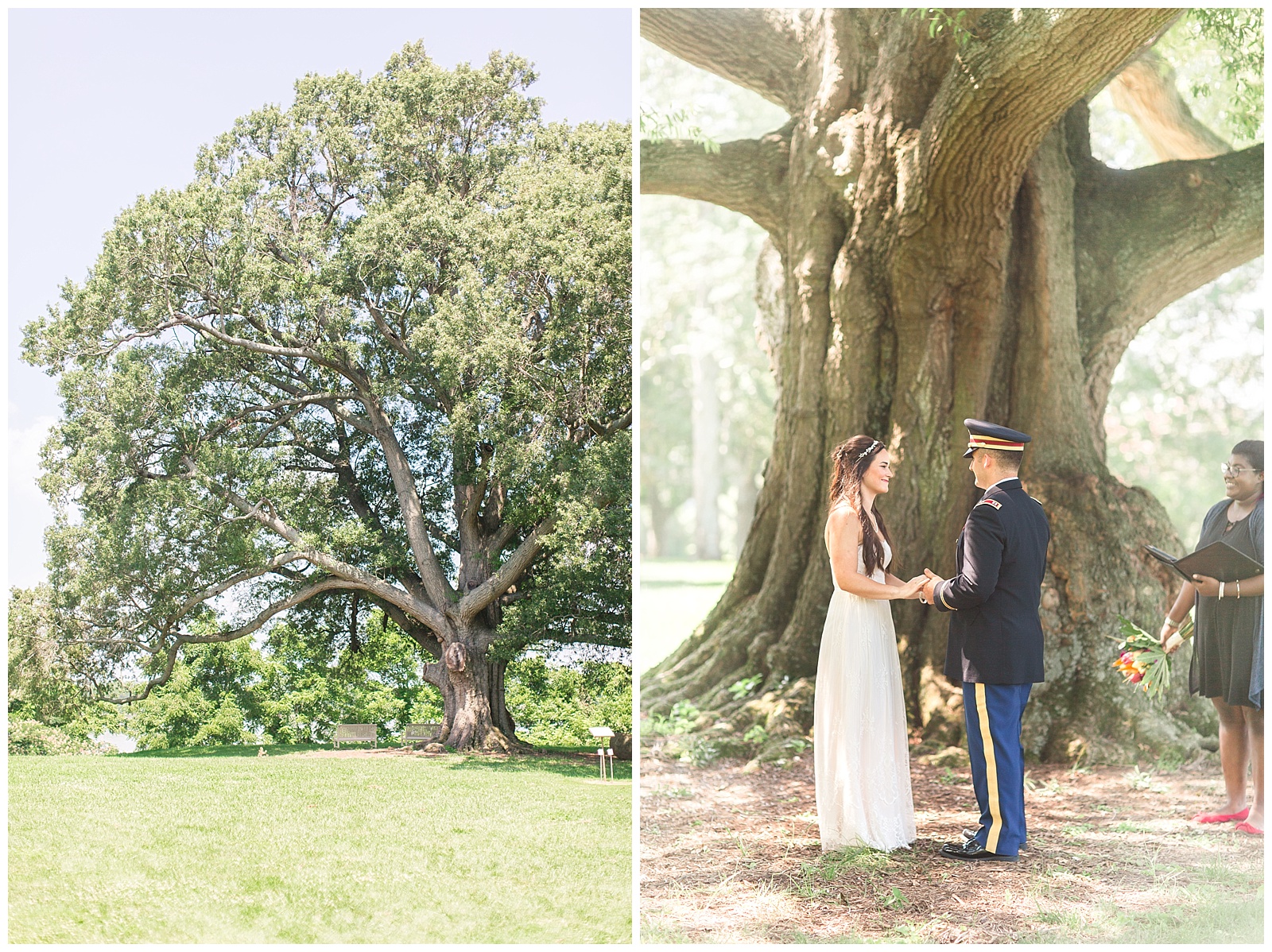 the bride and groom chose to get married under a big tree on shirley plantation with close family members